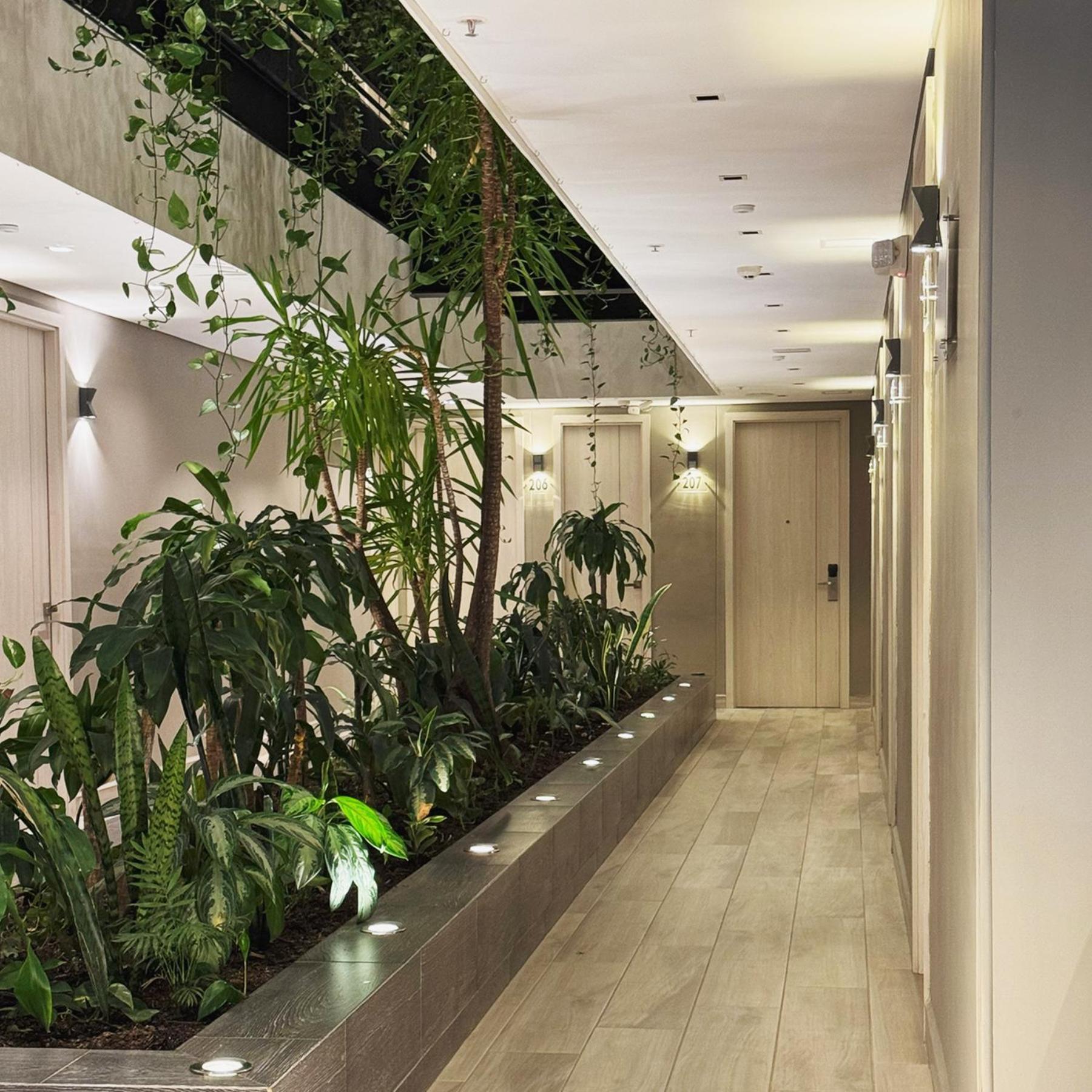 4 Sur Hotel Медельїн Екстер'єр фото